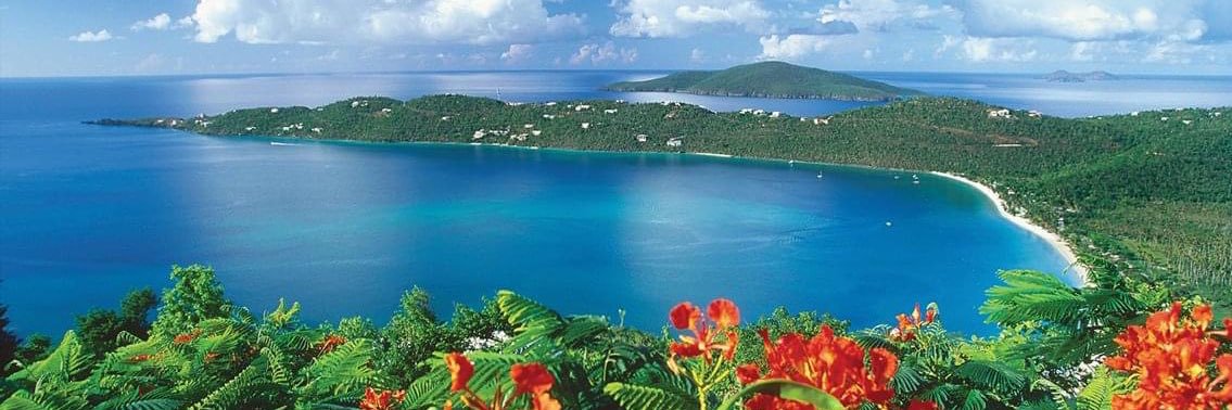 Nancy Bigoss, Author banner