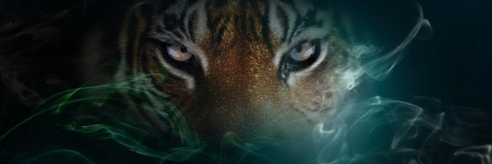 Irvedu7's profile banner image