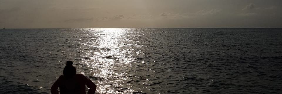 luz_dani2's profile banner image