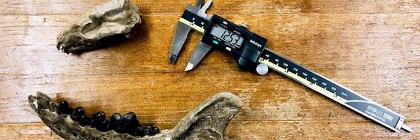 grahamjslater Profile Banner