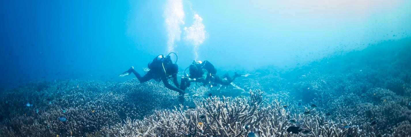 IMOS Animal Tracking banner