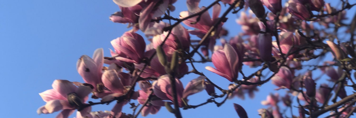 clueless_grad's profile banner image