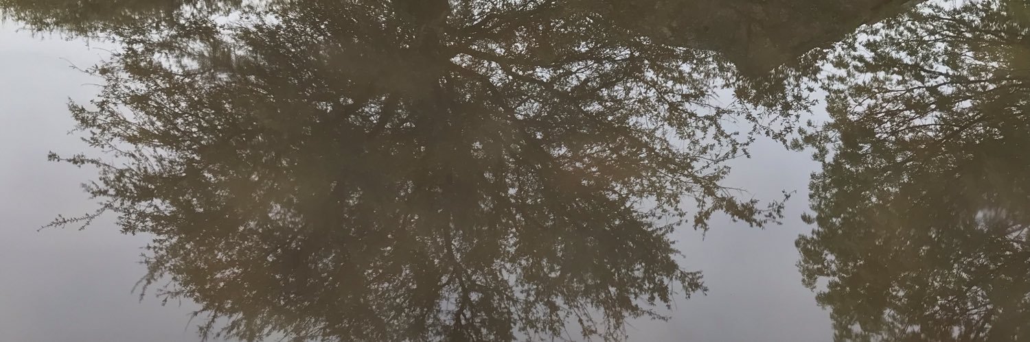 August Lakes banner
