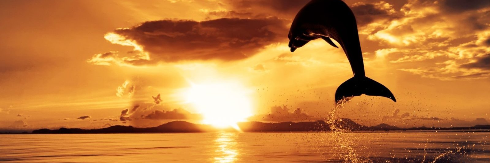 Rafael67V's profile banner image