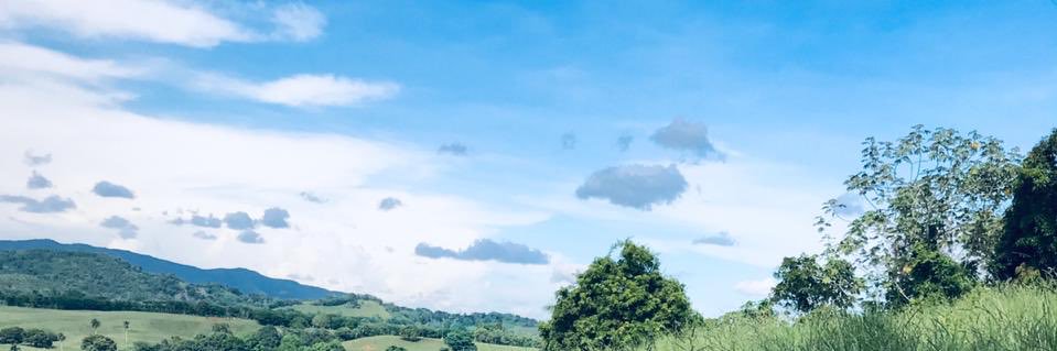 RosRosC's profile banner image