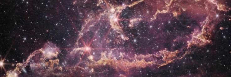 Emily Steffensen, PhD, MS, CPO banner