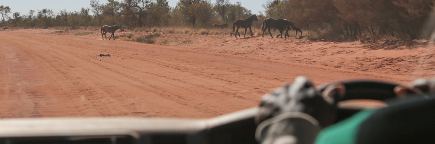 Samantha Jonscher banner