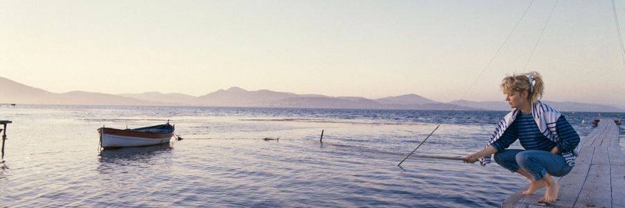 Ludovic Huvier banner