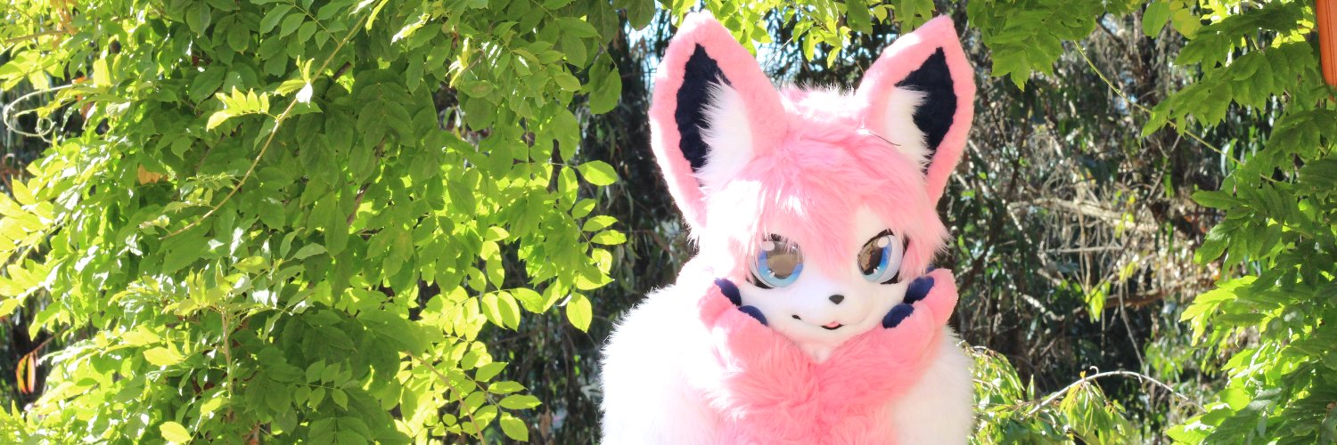 Caeles the Sylveon banner