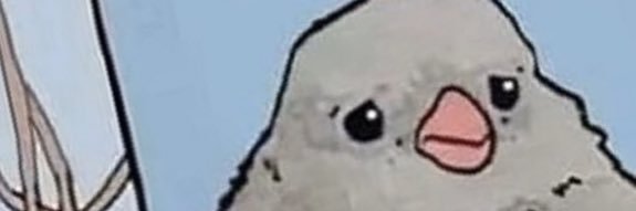 jettisrad's profile banner image