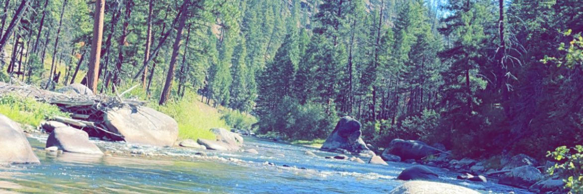 dgafbrodie's profile banner image