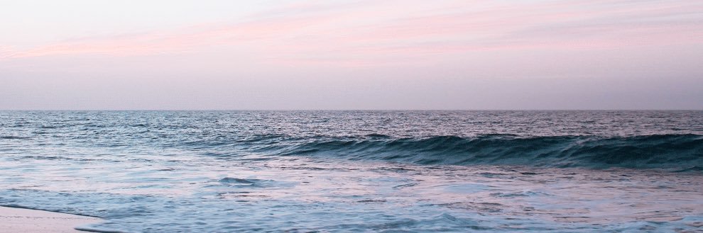 dinalrst's profile banner image