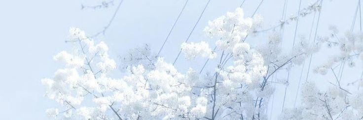 yourgbird's profile banner image