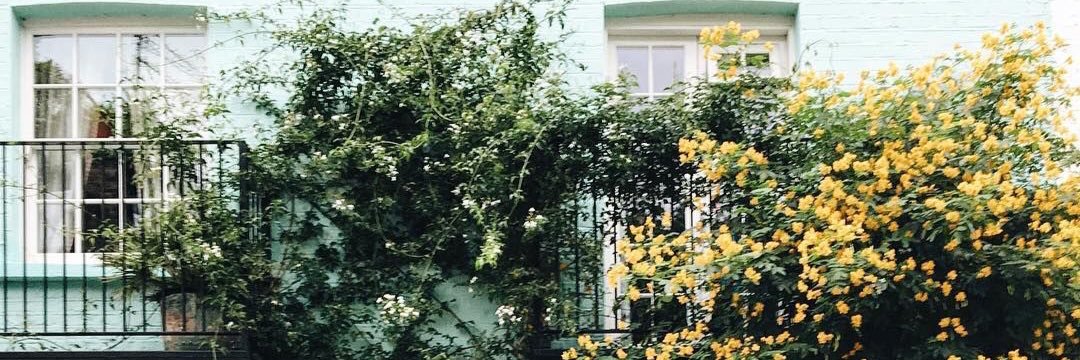 hellohann_'s profile banner image