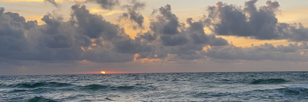 Cameron Capp banner