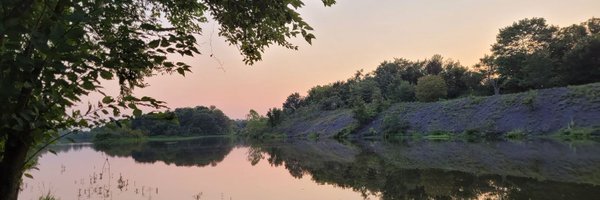 Stacywillingham Profile Banner