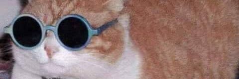 Stephen Hatfield banner