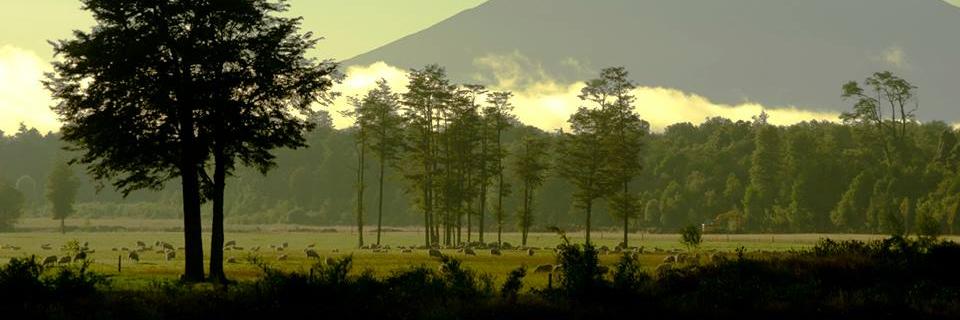 adhisilva's profile banner image