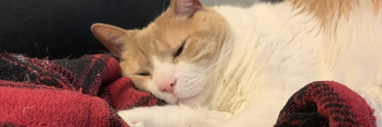 autumnfos's profile banner image