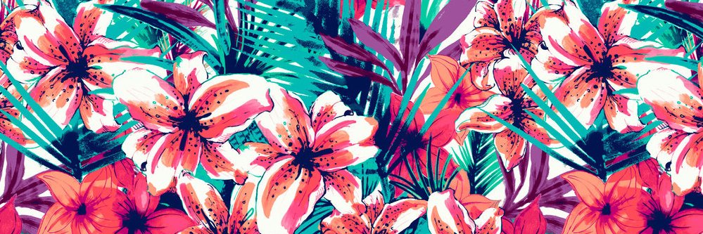 barbs_'s profile banner image