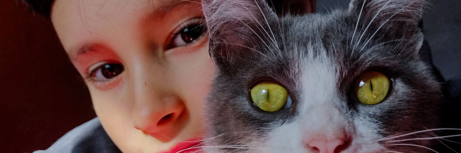 Mic_veraa's profile banner image