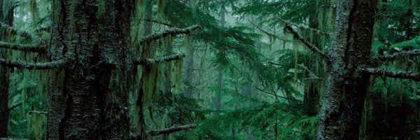 awasim Profile Banner