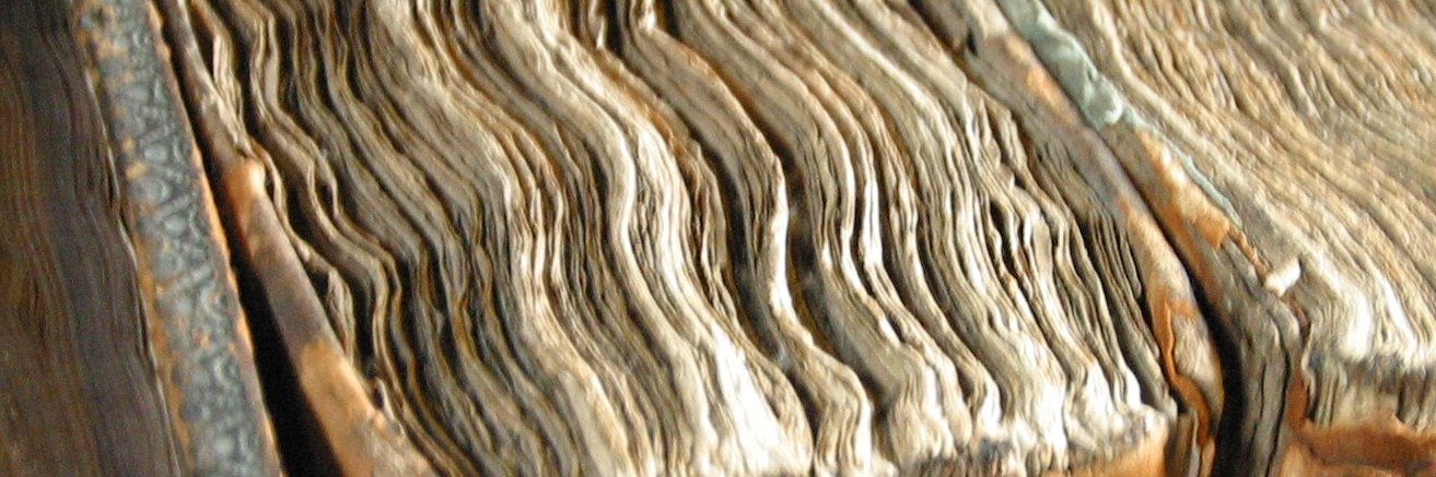 Miggins_Pies's profile banner image