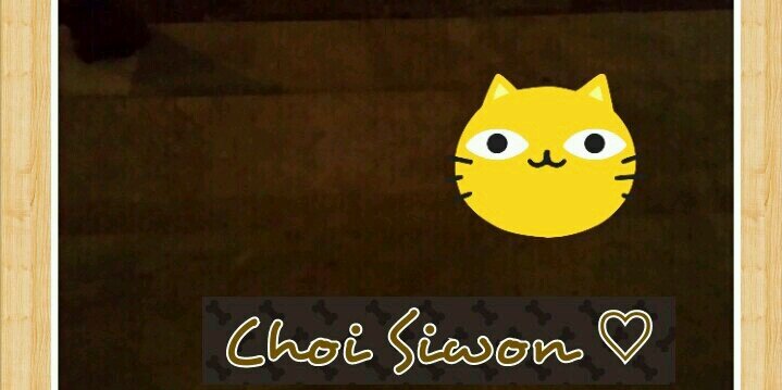 putlestari's profile banner image