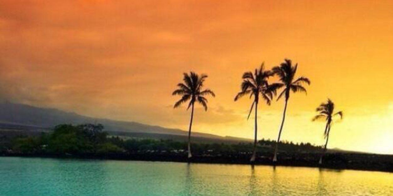 R_Shep11's profile banner image