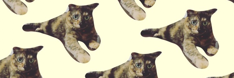 teqrock2's profile banner image