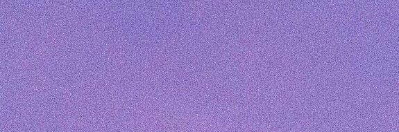 shy banner