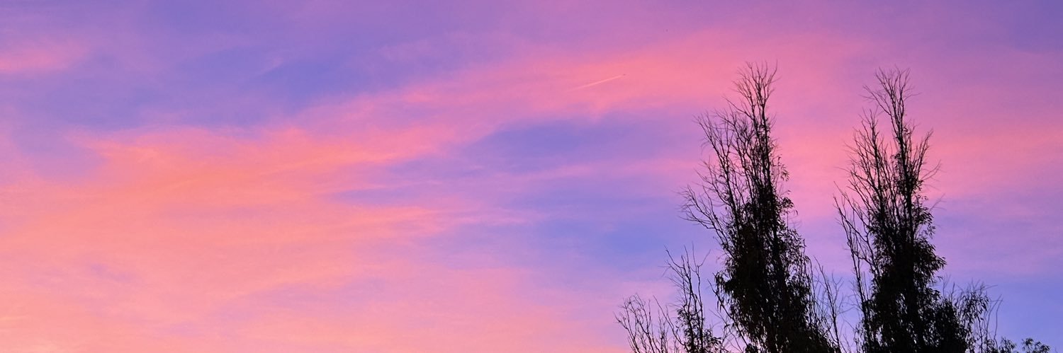 txell banner