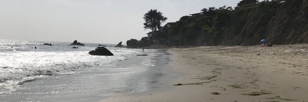 IMAsoulsinger Profile Banner