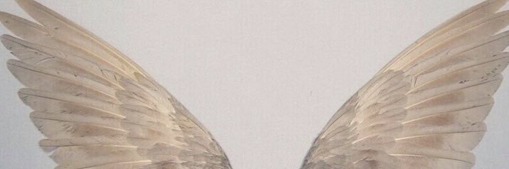 mddielee's profile banner image