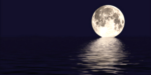 youlilo's profile banner image