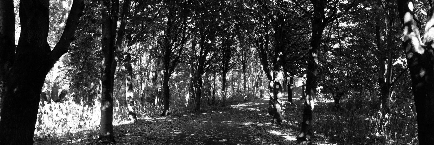 bert_elliott's profile banner image