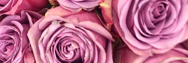 duLuee's profile banner image