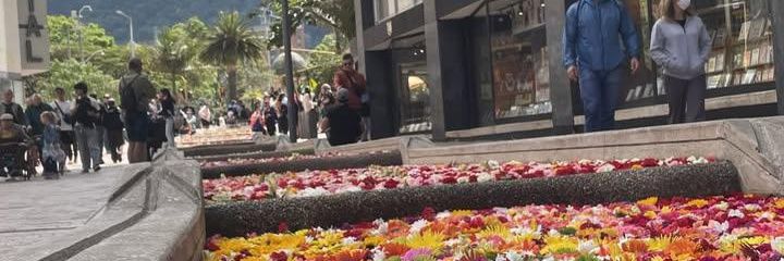 adrianvalero's profile banner image