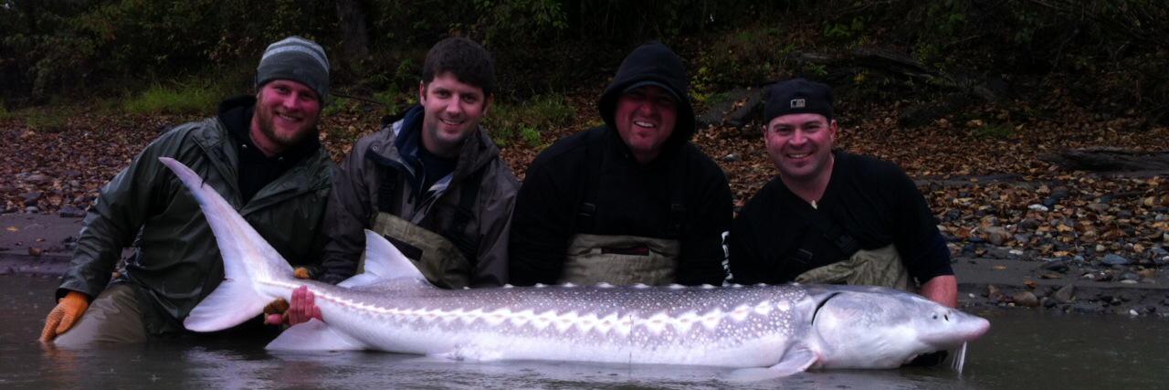 Colin Matthiessen banner