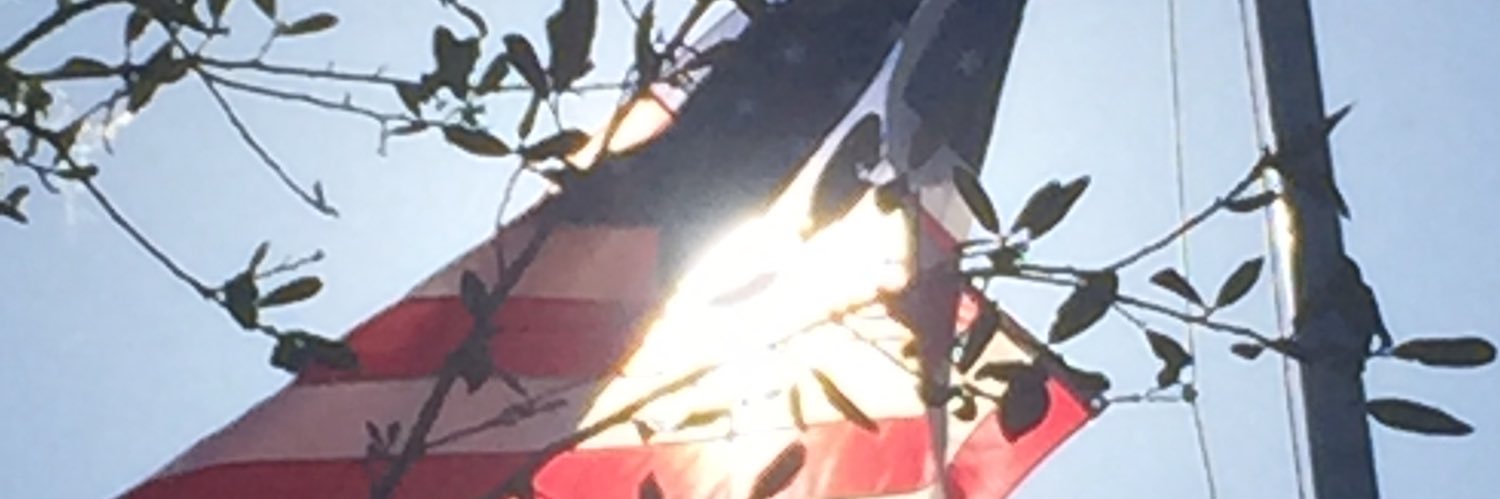 Elizabeth banner