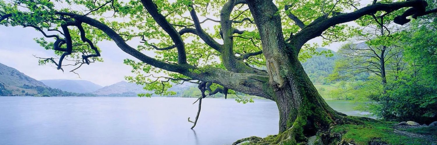 Bollinbrook CE Primary School banner