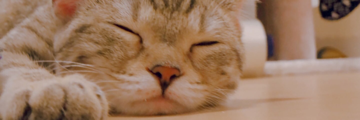 miyabm29's profile banner image