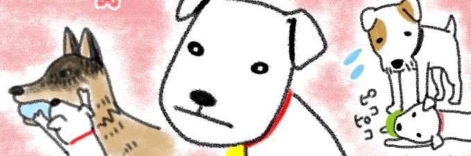 Irene M. Johnson banner