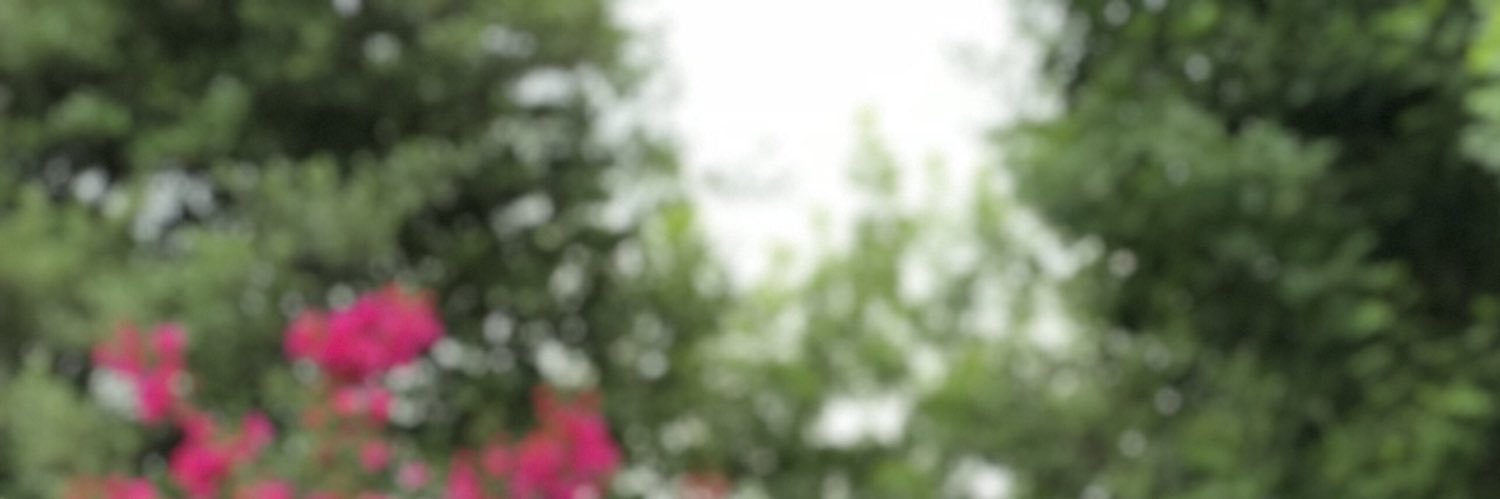 abril2298's profile banner image