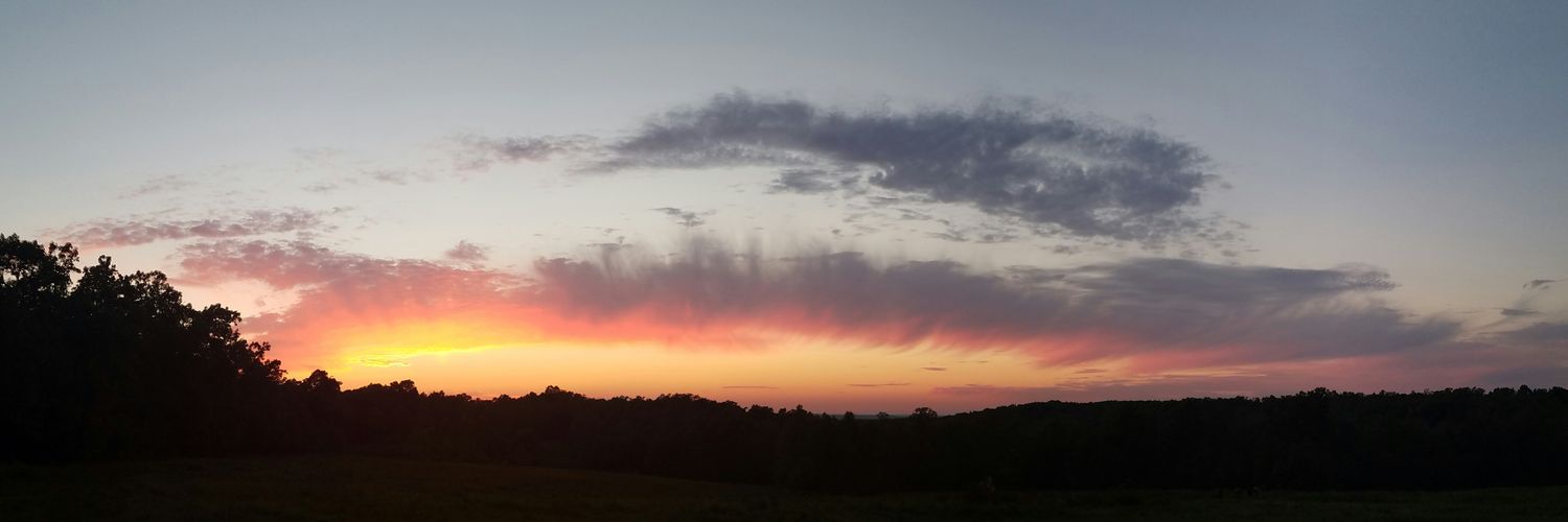 Shannon Franks banner