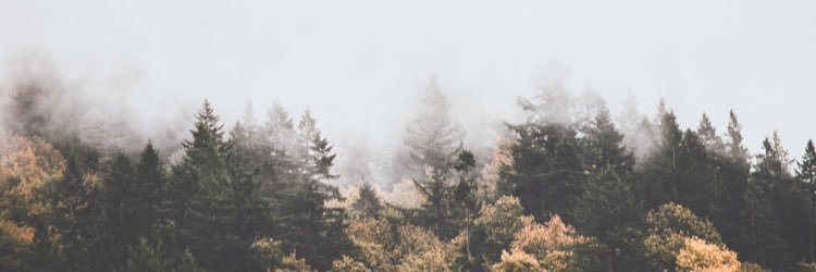 CORINAcrary's profile banner image