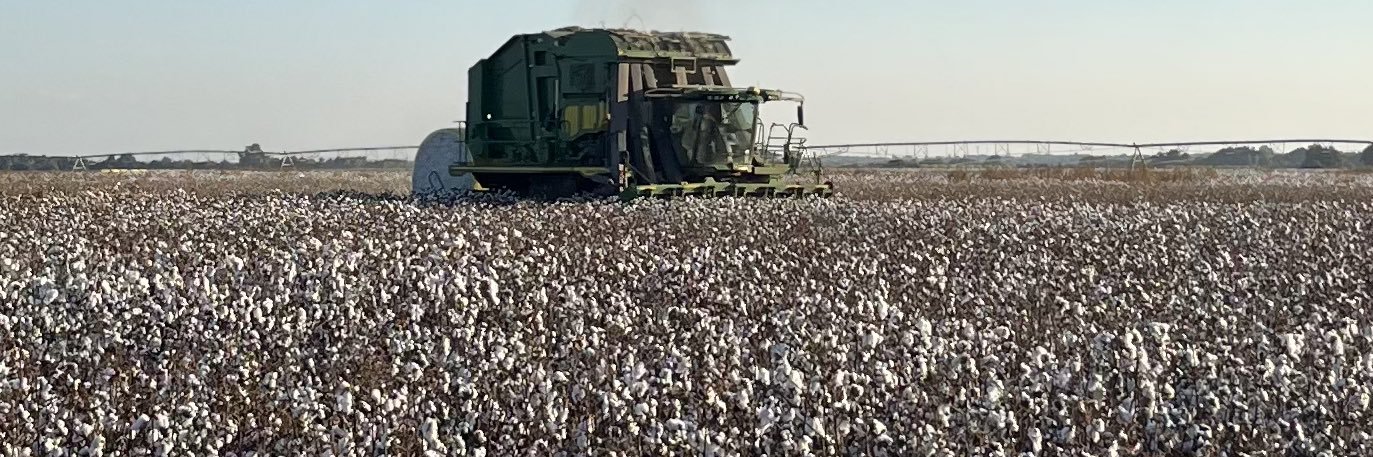 Robert Stephens banner