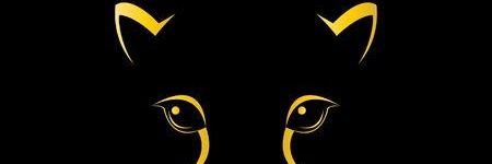 rigokaulu's profile banner image