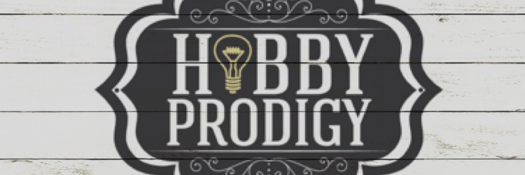 HobbyProdigy's profile banner image
