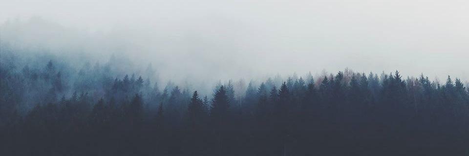 stephcarolineo's profile banner image